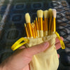 Makeup Brushes Set